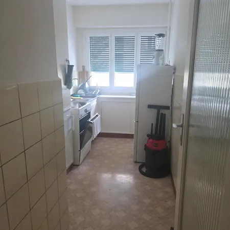 One In A Large Shared Lozan