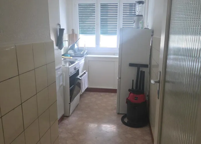 One In A Large Shared Lozan